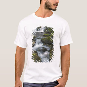 New Brunswick, Canada. Dickson Falls in Fundy T-shirt