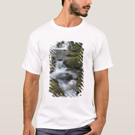 New Brunswick, Canada. Dickson Falls in Fundy T-shirt (Voorkant)