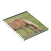 New Brunswick, Canada. Paard in veld. Notitieblok (Schuin)