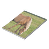 New Brunswick, Canada. Paard in veld. Notitieblok (Linkerzijde)