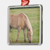 New Brunswick, Canada. Paarden in het veld. Metalen Ornament (Links)