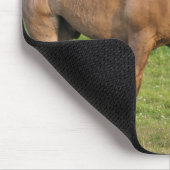 New Brunswick, Canada. Paarden in het veld. Muismat (Hoek)