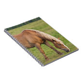 New Brunswick, Canada. Paarden in het veld. Notitieboek (Rechterzijde)