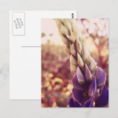 New Brunswick Flowers Briefkaart (Voorkant / Achterkant)