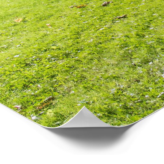 New Castle Poster (Hoek)