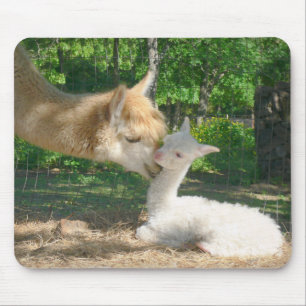 New Cria Mousepad Muismat