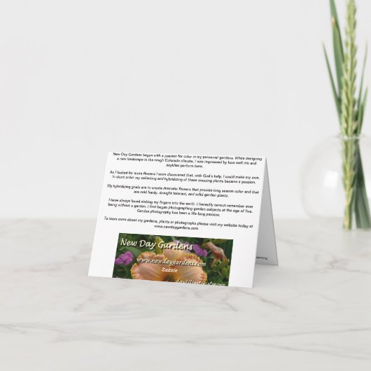 New Day Gardens Notecard-Blue Bottles Kaart (Achterkant)
