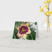 New Day Gardens Notecard - Dagelijks 'Sabine Baur' Kaart (Gele Bloem)