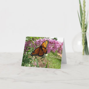 New Day Gardens Notecard - Viceroy Butterfly Kaart