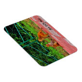 New Delhi, India Magneet (Rechterzijde)