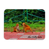 New Delhi, India Magneet (Horizontaal)