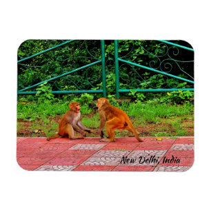 New Delhi, India Magneet