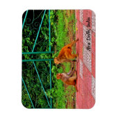 New Delhi, India Magneet (Verticaal)