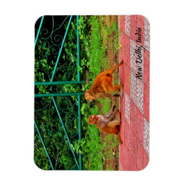 New Delhi, India Magneet