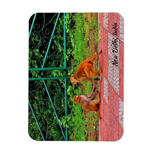 New Delhi, India Magneet (Verticaal)