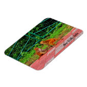 New Delhi, India Magneet (Linkerzijde)