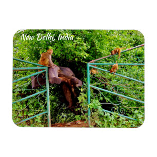 New Delhi, India Magneet