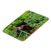 New Delhi, India Magneet (Linkerzijde)