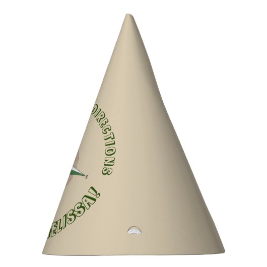 New Directions Compass gans Feesthoedjes (Rechts)