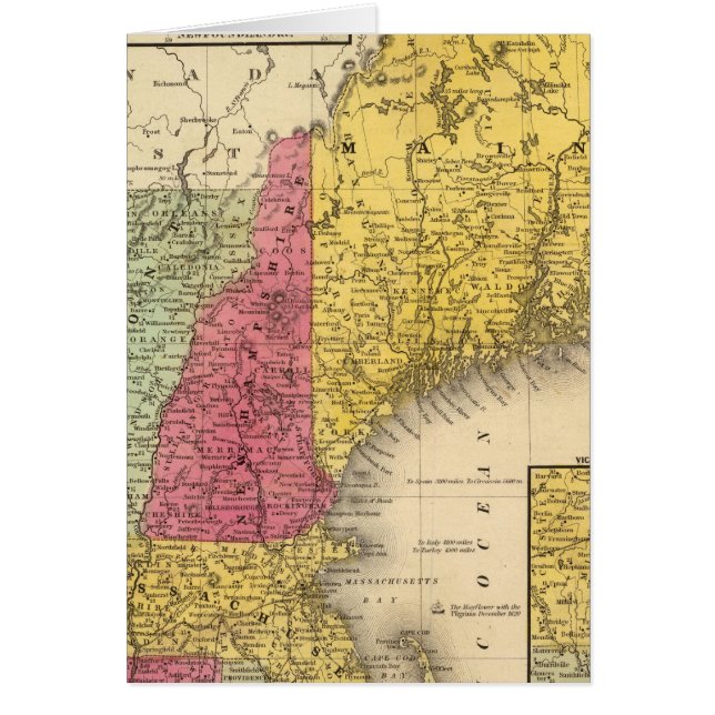 New England 3 (Voorkant)