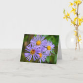 New England Aster Kaart (Gele Bloem)