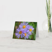 New England Aster Kaart (Voorkant)