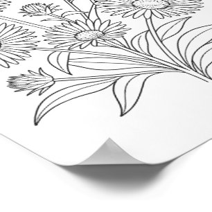 New England Aster Kleurstof Poster