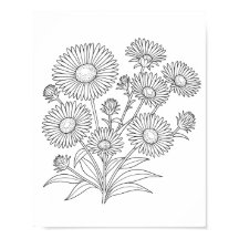 New England Aster Kleurstof Poster