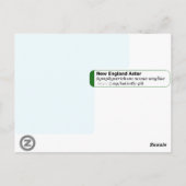 New England Aster Symphotrichum Briefkaart (Achterkant)