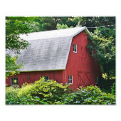 New England Barn Foto Afdruk (Voorkant)