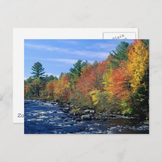 New England Colors Briefkaart (Voorkant / Achterkant)