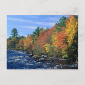New England Colors Briefkaart (Voorkant)