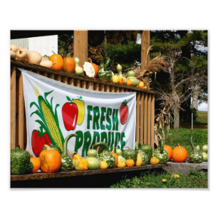 New England Country Boerderij Stand Herfst 8x10 Foto Afdruk