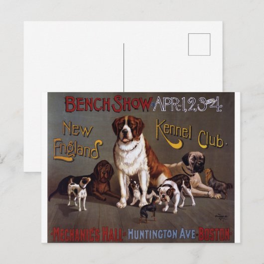 New England Dog Show Briefkaart (Voorkant / Achterkant)