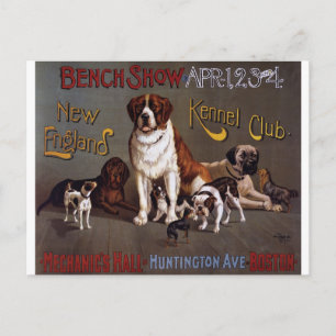 New England Dog Show Briefkaart