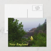 New England Dreamweaver Briefkaart (Voorkant / Achterkant)