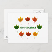 New England Fall Leaves Briefkaart (Voorkant / Achterkant)