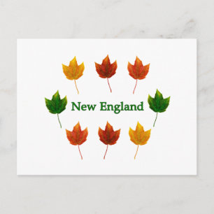 New England Fall Leaves Briefkaart
