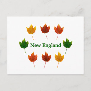 New England Fall Leaves Briefkaart