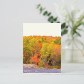 New England herfst 118 Briefkaart (Staand voorkant)