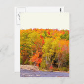 New England herfst 118 Briefkaart (Voorkant / Achterkant)