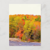 New England herfst 118 Briefkaart (Voorkant)