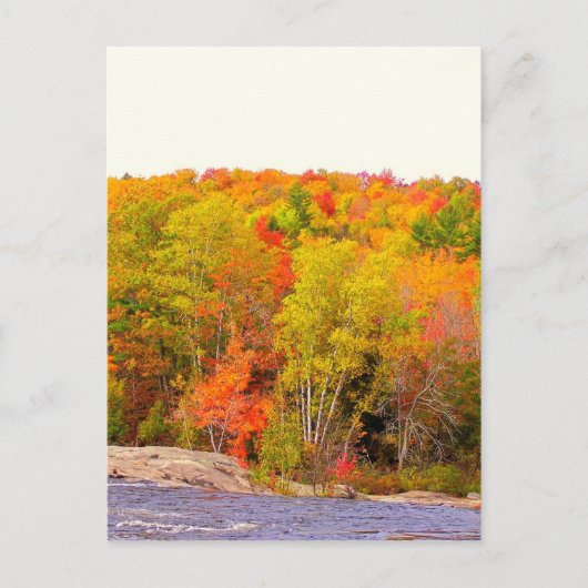 New England herfst 118 Briefkaart (Voorkant)