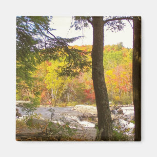 New England herfst 127 Magneet