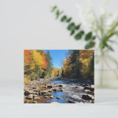 New England kleurrijk landschap, herfst, Briefkaart (Staand voorkant)