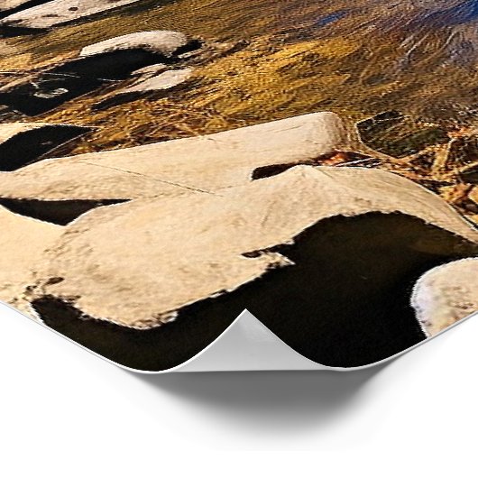 New England kleurrijk landschap Poster (Hoek)