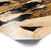 New England kleurrijke landschap, herfst, Foto Afdruk (Hoek)