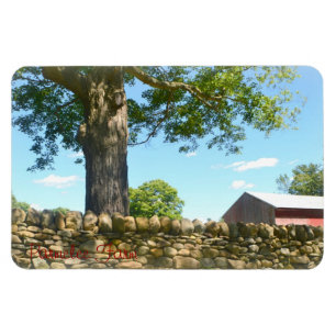 New England Large Magnet Magneet