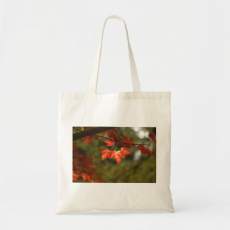 New England Maple herfst gebladerte canvas tas