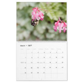 New England-momenten 2026 kalender (Mar 2027)